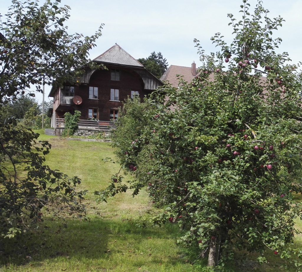 Stöckli
