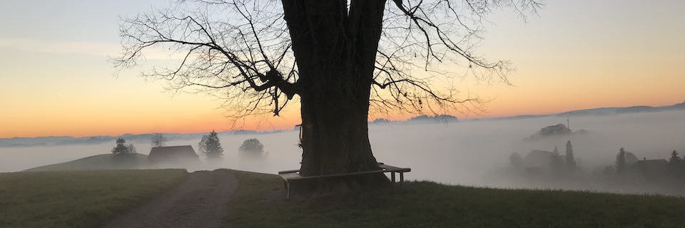 Trommelbau im Emmental