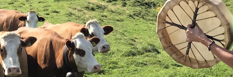 Trommelbau im Emmental